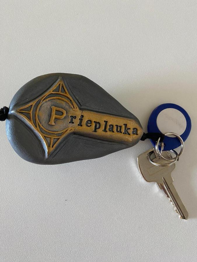 Rezidencija "Prieplauka" Hostel Αλίτους Εξωτερικό φωτογραφία